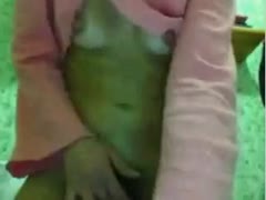 For my friend, an amateur lustful chat roulette doxy masturbated on a webcam.